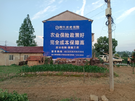 弥勒墙体广告为何受追捧？